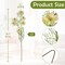 Artificial Protea Flowers, 3 Pack Silk Fake Flower Bouquets with Long Stems, 6 Heads + 3 Buds Each, 26.3" Faux Protea for Wedding Centerpieces, Parties & Home Decor